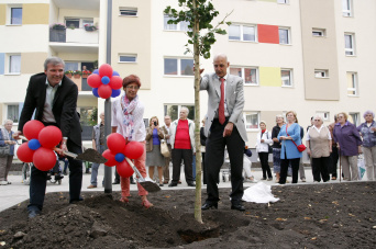 Setzen den traditionellen Gingko-Baumes nach Abschluss einer Baumaßnahme: OB Andreas Bausewein, Kowo-Aufsichtratsvorsitzende Carola Stange und Kowo-Geschäftsführer Dietrich Hermann