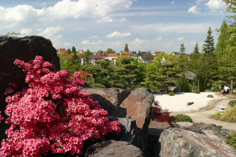 Garten mit dunklen Felsen, weißem Kies und pinkfarbener Blütenpracht.