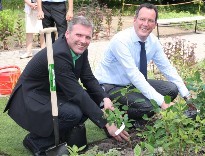 Oberbürgermeister Bauewein und Ebling pflanzen zwei Hortensien.