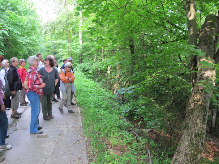 Eine Gruppe Wanderer schaut vom Weg aus in den Wald.