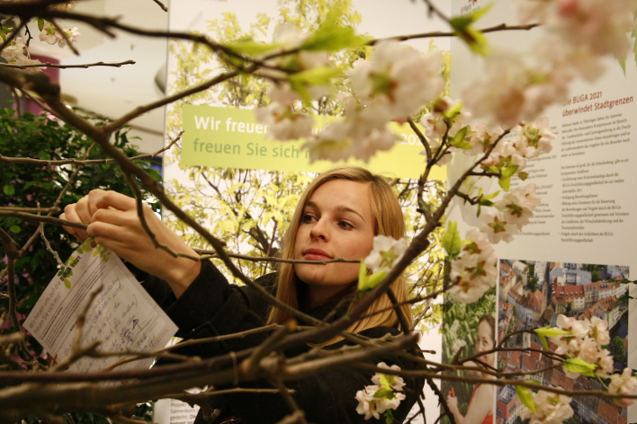 Eine junge Frau befestigt einen Wunschzettel an einem Ast des Wunschbaumes.
