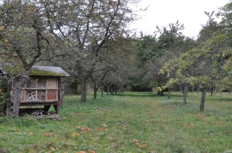 Streuobstwiesen - Vielfalt in Erfurt