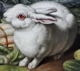 Foto: Jacob Samuel Beck: Albino-Kaninchen – Detail aus dem "Gemüsestillleben" © Privatbesitz. Foto: Stadtverwaltung Erfurt, Dirk Urban Kaninchen.