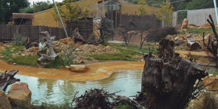 Gelände im Zoopark mit Baumstümpfen und Wasserfläche