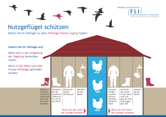 geschütztes Geflügel in einem Haus, darüber fliegen Wildvögel