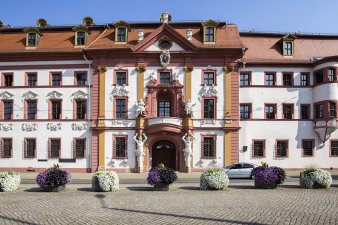 Farbenfrohe Bepflanzung, unter anderem mit weißen und violetten Petunien