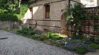 Von einem gepflasterten Innenhof aus sieht man ein kleines Backsteingebäude, davor ist ein kleiner Grünabschnitt mit verschiedenen Pflanzen und deren Beschilderung.