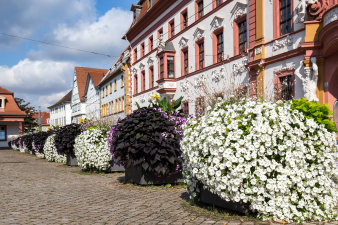 Farbenfrohe Bepflanzung, unter anderem mit weißen und violetten Petunien