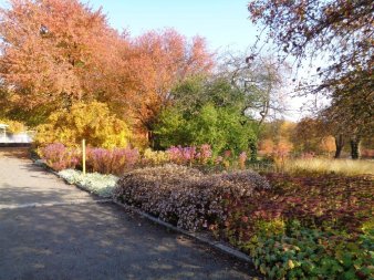 Von einem ungepflasteren Weg aus sieht man die schönen orangenen Farben der Bäume, Büsche und anderer Pflanzen.