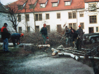 Mehrere Landschafts- und Gartenbauer fällen im Winter Bäume in einem Innenhof eines Gebäudekomplexes. Auf dem Boden liegen Späne.