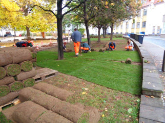 Man sieht fünf Menschen in Arbeitskleidung (orangener Hose, grüner Pullover) dabei, wie sie Rollrasen zwischen einem Spielplatz und einer Straße verlegen, abgegrenzt von einer niedrigen Mauer. Um sie herum weiterer, noch zusammengerollter Rollrasen.