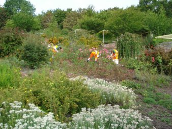 Drei Garten- und Landschaftsbauer pflegen einen groß angelegten Garten.