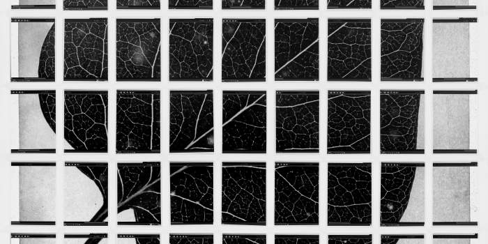 Mit Kuratorin Susanne Knorr „Vor einem Bild“ in der Kunsthalle Erfurt