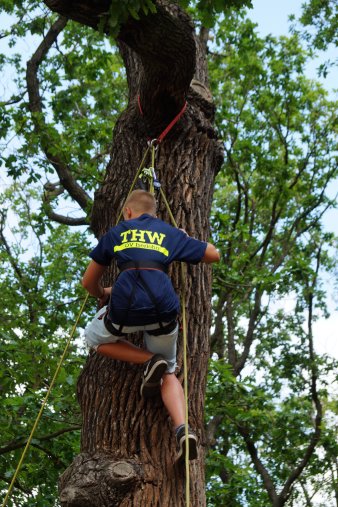 am Baum mit Seil kletternder Junge 
