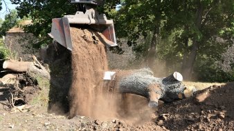 Bagger und umgelegter Baum