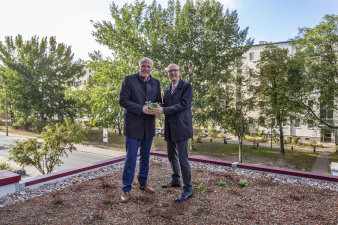 Zwei Männer halten kleine Pflänzchen