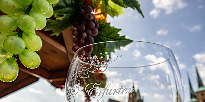 Ein Weinglas vor Weinranken mit dem Dom als Hintergrund 