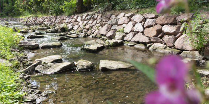 ein Bachlauf mit Natursteinmauer und Blumen im Vordergrund