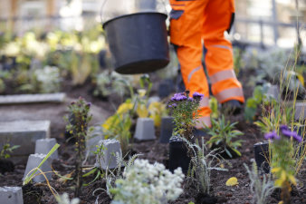 ein Beet mit verschiedenen frisch gepflanzten Stauden, im Hintergrund eine Mensch in Arbeitskleidung