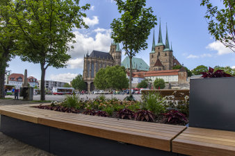 ein Hochbeet mit einer Umrandung, die als Sitzbank dient, sowie dem Erfurter Dom im Hintergrund