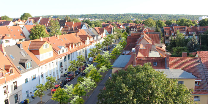 Das Bild zeigt eine Straße, die in der Mitte mit Bäumen begrünt ist.