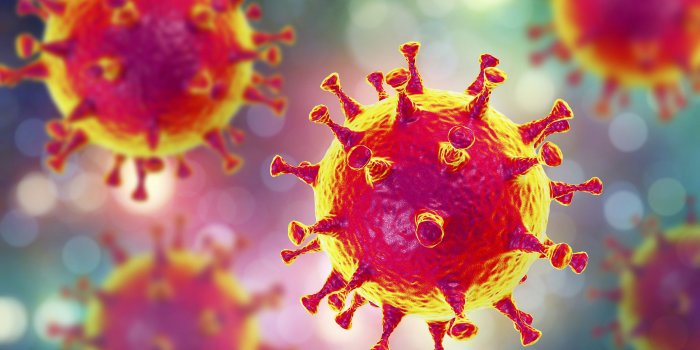 Interner Verweis: Topthema: Coronavirus – Informations-Portal