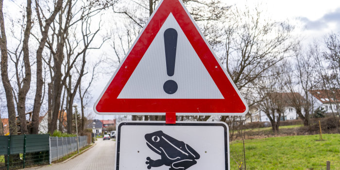 Foto: Hinweisschild Krötenwanderung © Stadtverwaltung Erfurt Ein dreieckiges Warnschild mit Ausrufezeichen und einem ergänzenden Schild mit einer Kröte