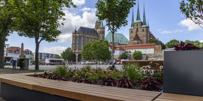 ein Hochbeet mit einer Umrandung, die als Sitzbank dient, sowie dem Erfurter Dom im Hintergrund
