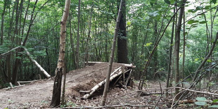 Foto: Illegale Downhillstrecke im Steiger © Stadtverwaltung Erfurt Eine Rampe in einem Wald