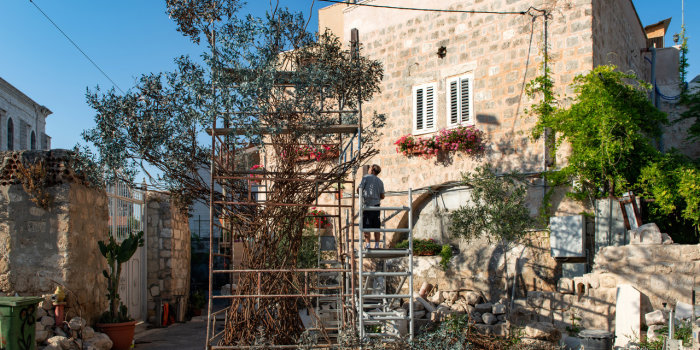 ein Baum aus Metall steht umhüllt von Leitern zur Bearbeitung auf dem Hof des Künstlers