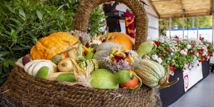 Cerealienmarkt lockt mit Gartenpflanzen, Herbstkränzen und Gemüse