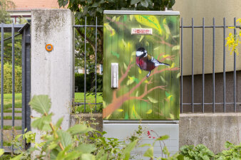ein mit einem Graffiti-Vogelmotiv gestalteter Stromkasten