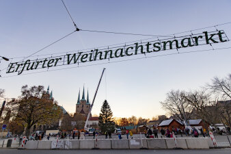 der Domplatz mit Baum und ersten Weihnachtsständen