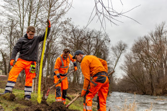 drei Männer pflanzen einen Baum an einem Flussufer