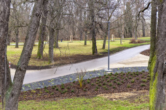 eine Parklandschaft mit Bäumen und Wegen