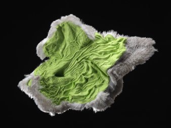 Foto: "Winter-Magen" von Masami Saito © Falko Behr ein Kunstwerk