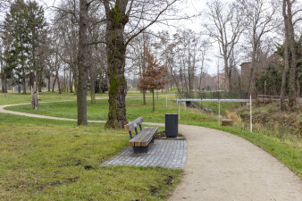 eine Parklandschaft mit Bäumen und einem geschwungenen Weg, im Vordergrund eine Bank