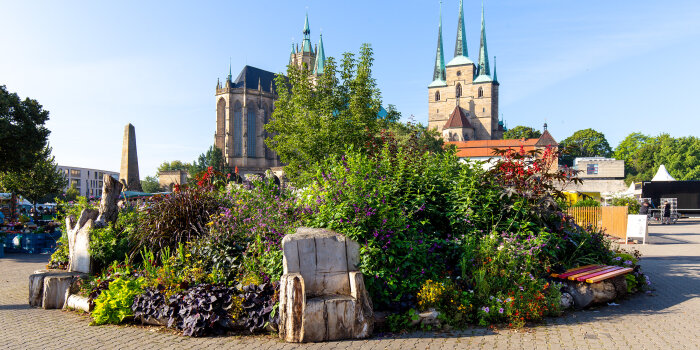 ein üppiges rundes Blumenbeet mit Sitzmöglichkeiten auf dem Platz vor dem Erfurter Dom