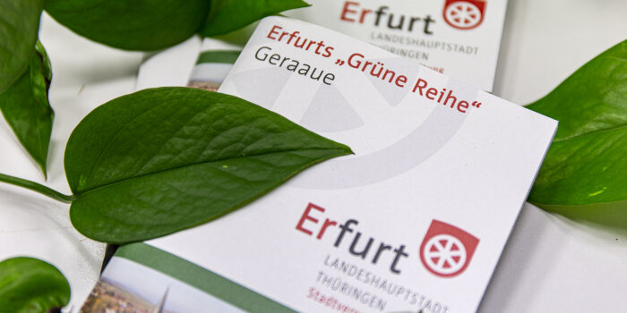 Das Titelbild einer Broschüre mit dem Titel Erfurts "Grüne Reihe"