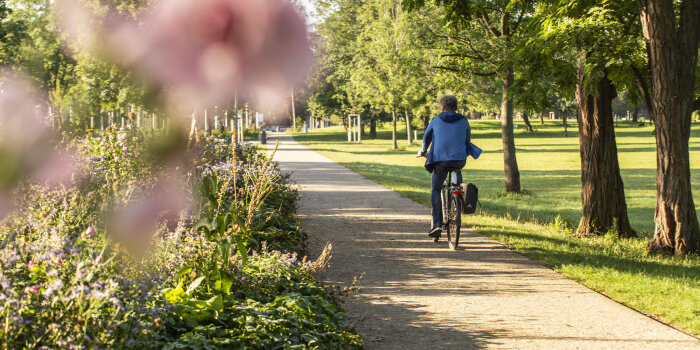ein Radfahrer auf einem Parkweg, links ein Staudenband mit verschiedenen Blüten
