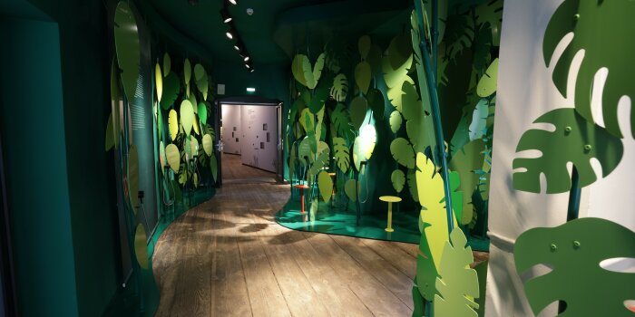 Foto: So spannend kann Museum sein: Deutsches Gartenbaumuseum öffnet mit einer Dauerausstellung © Stadtwerke Erfurt/P. Braun Blick in die Ausstellung mit Blattnachbildungen