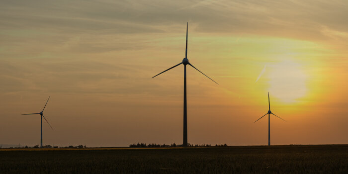 Windräder im Sonnenuntergang