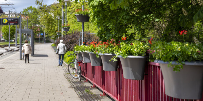 mehrere Blumenkästen hängen an einem Geländer an der Erfurter Stadtbahnhaltestelle Gothaer Platz