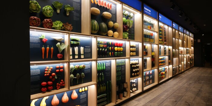 Blick in die Ausstellung mit Nachbildungen von Obst und Gemüse