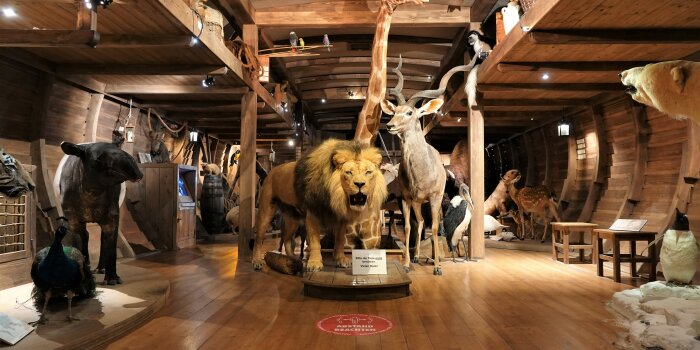 ein großer, mit Holz vertäfelter Raum mit großen, ausgestopften Wildtieren wie Löwe und Giraffe