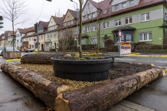 Ein frisch angelegtes Bett für Pflanzen neben einer Straße. Im Hintergrund steht eine Verkehrsbake.