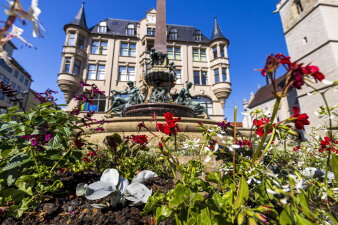 Das Beet vor dem Alten Angerbrunnen blüht in rot und weiß. 