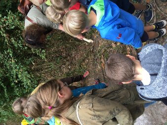 mehrere Kinder und eine Frau beobachten etwas auf dem Waldboden