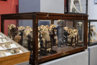 Vitrine mit Hamsterorchester