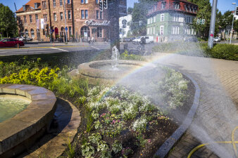 Das Beet am Benaryplatz wurde mit sommerlichen Motiven bestückt.   